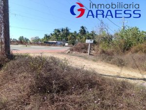 Terreno en venta, Mogotes; Coyuca, Guerrero