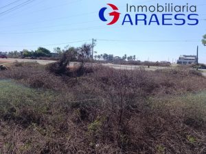 Terreno en venta, Mogotes; Coyuca, Guerrero